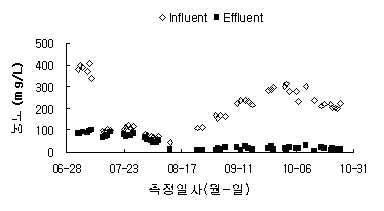 활성화 조류 시스템의 측정날짜에 따른 COD 농도