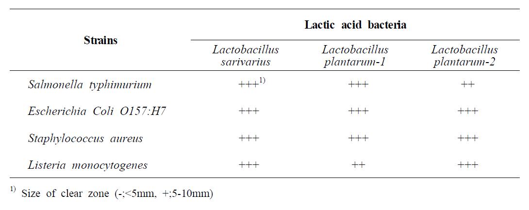 Antimicrobial effects of fermented red ginseng by lactic acid bacteria