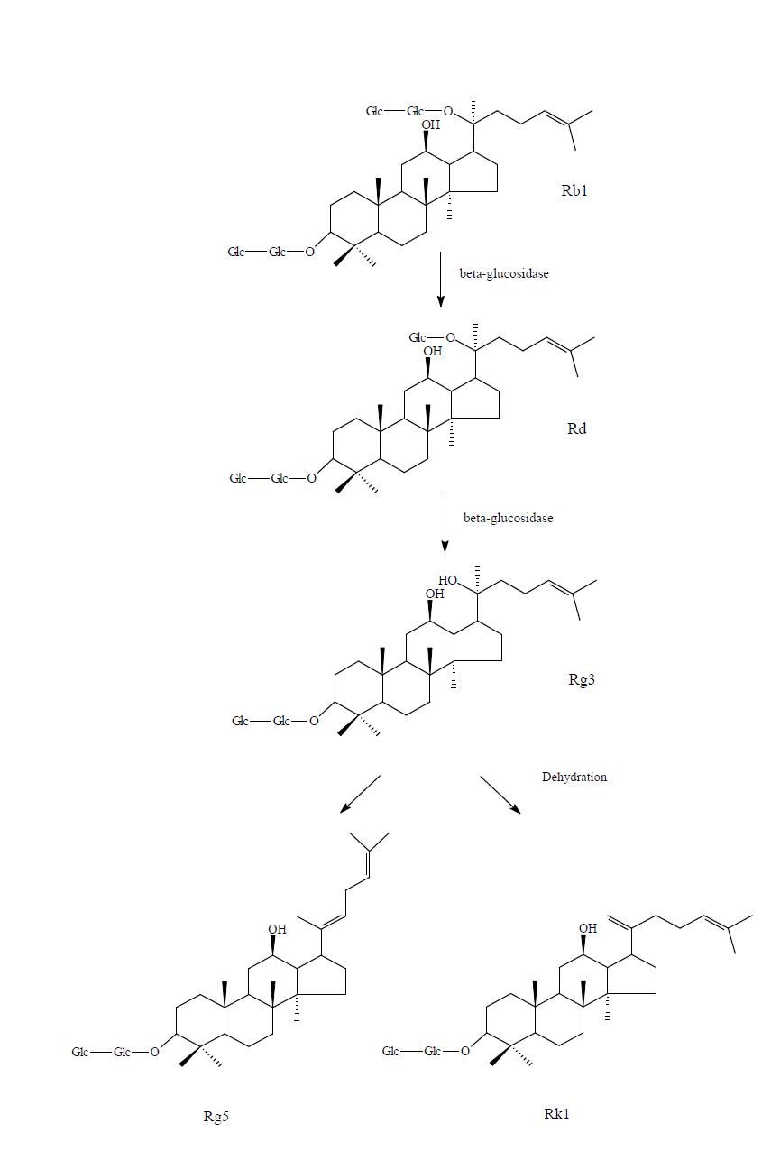 Proposed bioconversion mechanism of ginsenoside during fermentation with Lactobacillus.