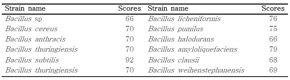 The similarity matrix based on the gyrB nucleotide sequences of Bacillus subtilis BY08 and other bacteria