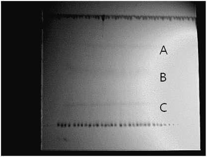 Thin-layer chromatography (TLC) of the antagonistic substanceproduced by B. subtilis BY08 under the UV ray of 254 nm.