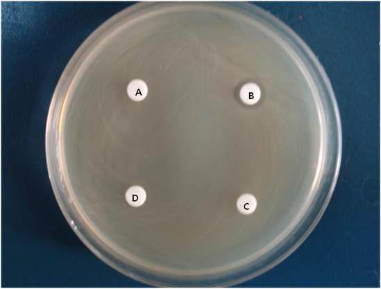 The antagonistic activity of antagonistic substance eluted from TLCsilica gel with methanol