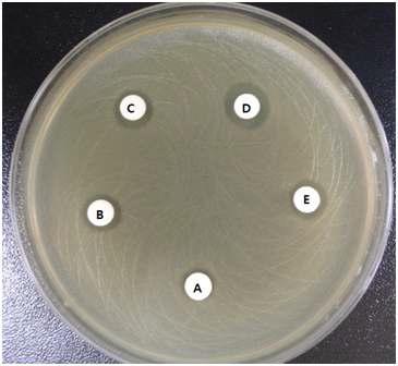 Influences of pH on the stability of UV254-B obtained from B. subtilis BY08.