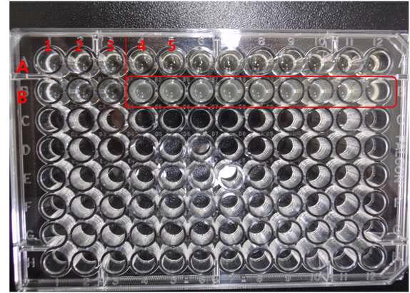 Minimum inhibitory concentration (MIC) of UV254-B purified from B. subtilis BY08 against B. cereus with the method of micro-dilution.