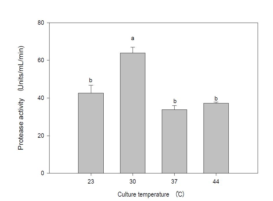 Effect of temperature on the protease productivity of B. amyloliquefaciens BY04