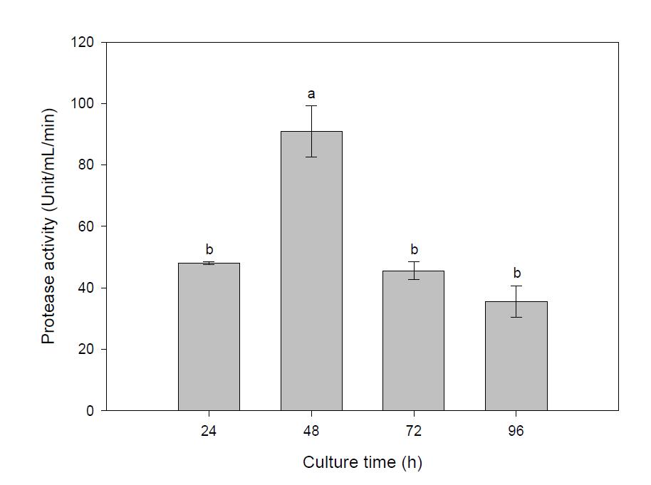 Effect of culture time on the protease productivity of B. amyloliquefaciens BY04.