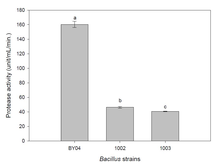 Comparison of the protease productivity of B. amyloliquefaciens BY04 at the optimal condition with other control strains.