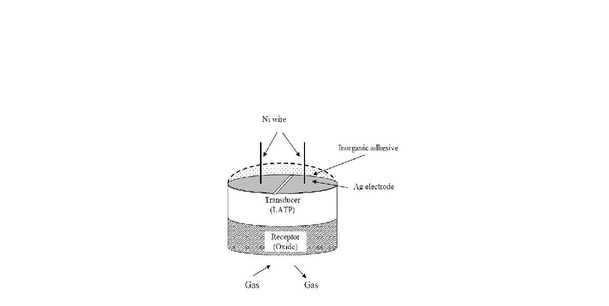 Schematic diagram of gas sensor device using solid electrolyte