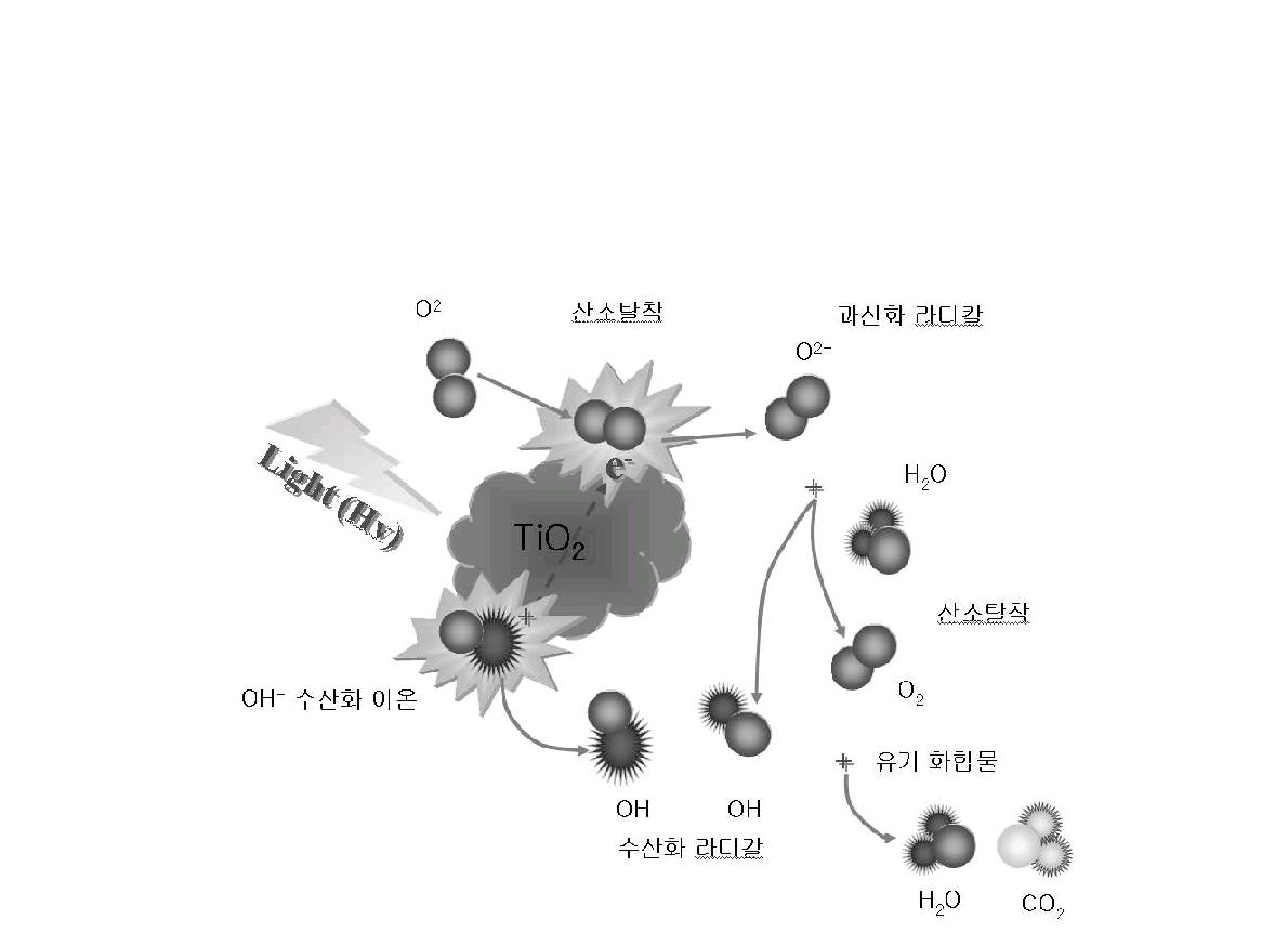 TiO2 광촉매의 매카니즘 [29]