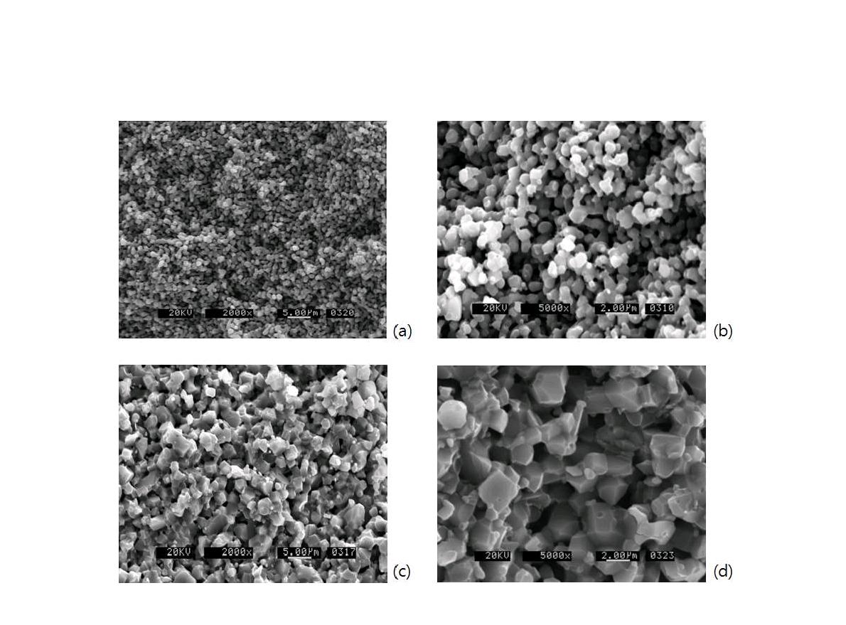 SEM micrographs of the fracture surface of LiTi2(PO4)3 sintered