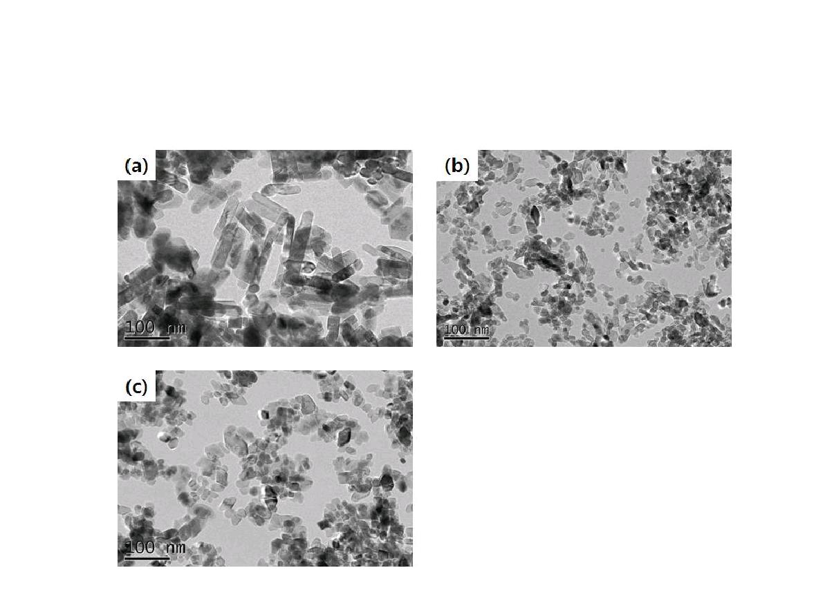 TEM images of the TiO2 powders hydrothermally prepared