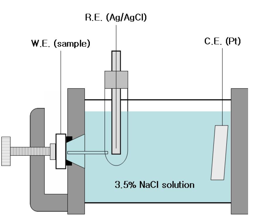 Schematic diagram of the flat cell used for polarizationcorrosion test.