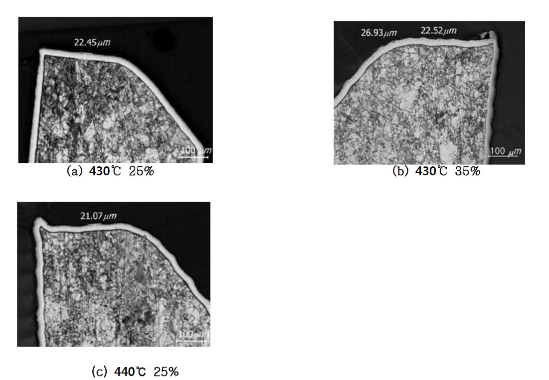 The cross-sectional microstructures of plasma nitrocarburized 3/4
