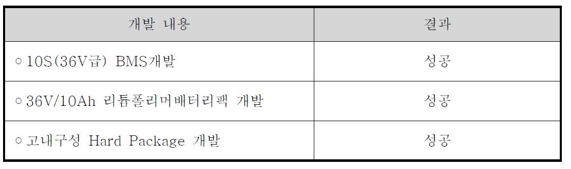 개발 내용 평가 결과 표