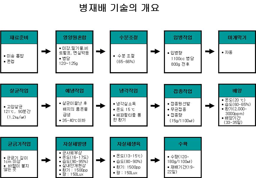 새송이 버섯 병 재배 과정