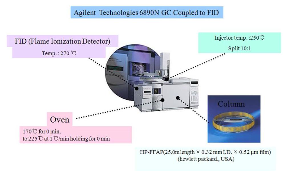 GC/FID 분석 조건