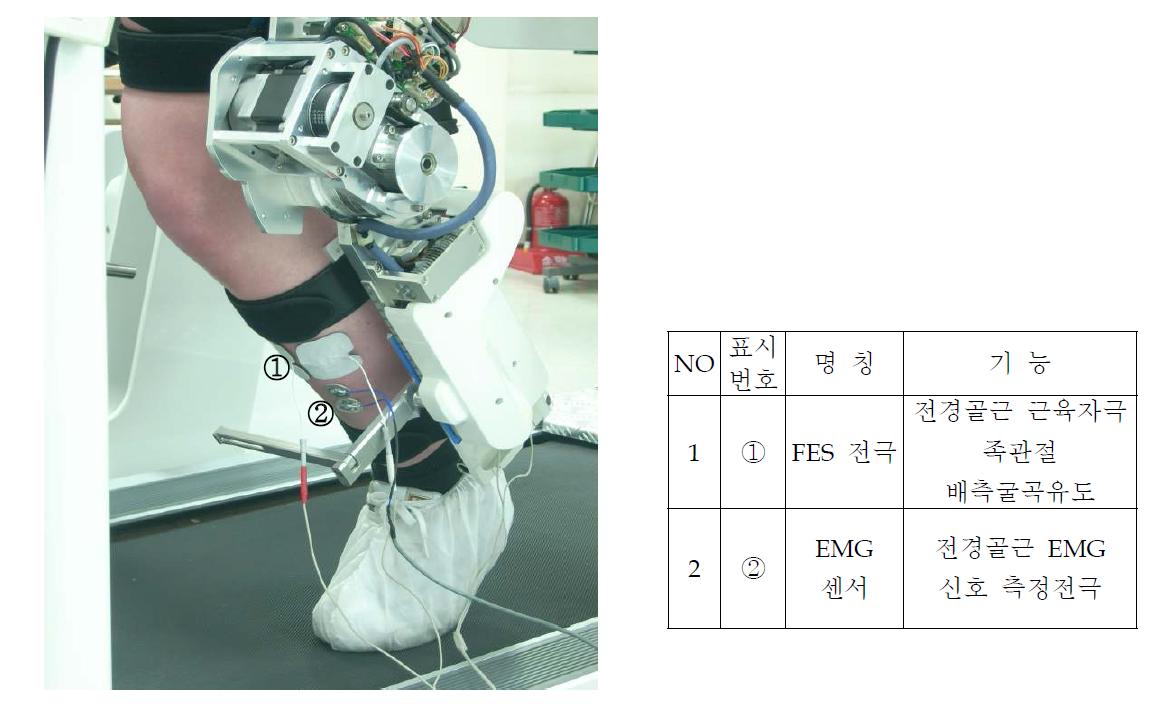 표면근전도 센서와 전기자극용 전극 배치