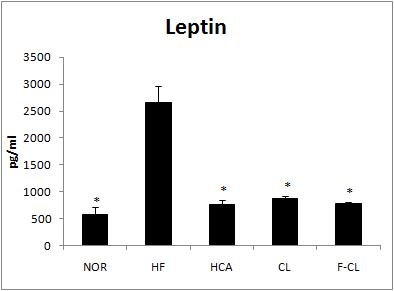 혈장 중 Leptin 함량에 미치는 영향