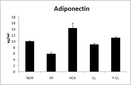 혈장 중 Adiponectin 함량에 미치는 영향