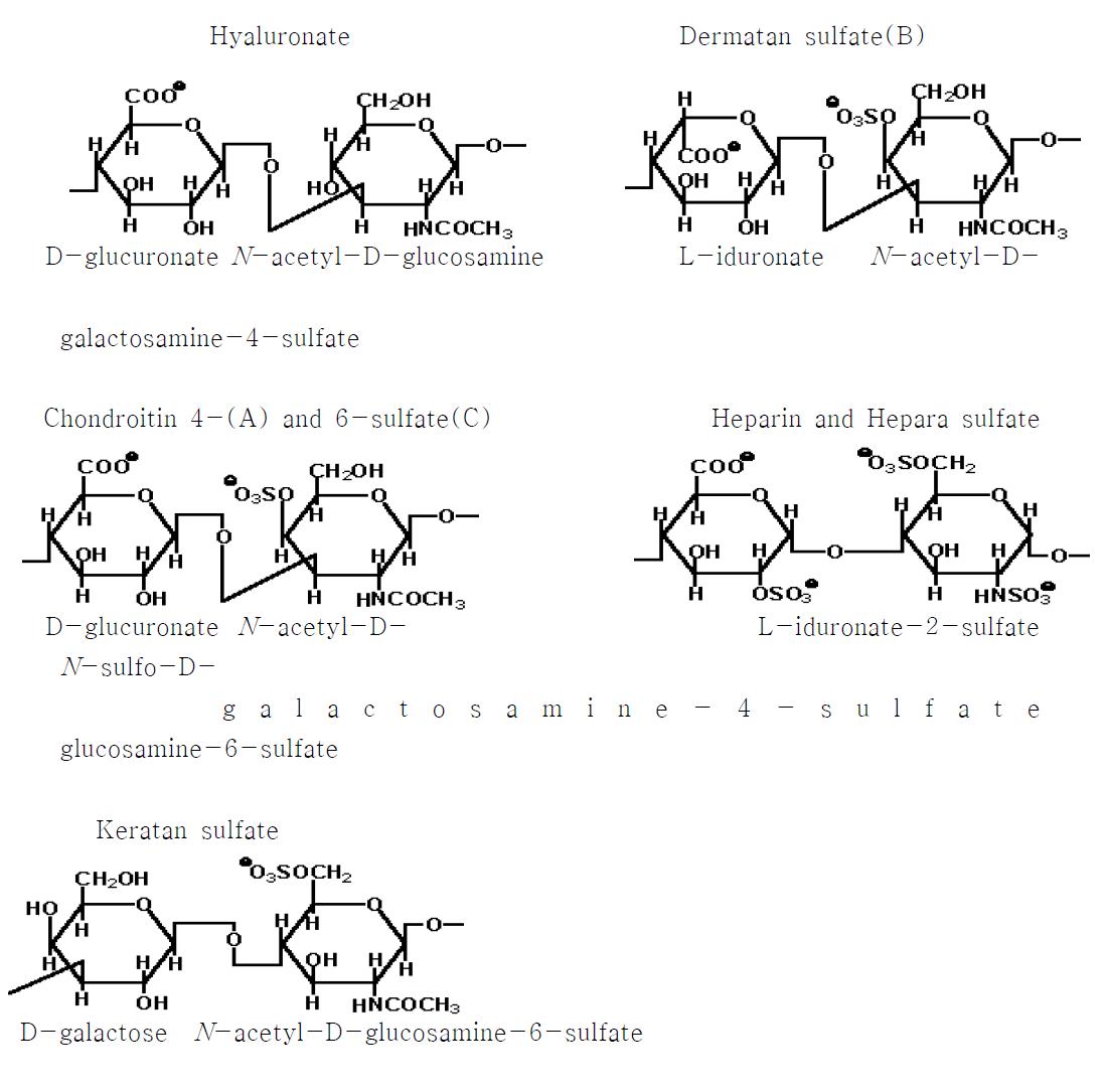 여러 종류의 글리코사미노글리칸(GAGs).