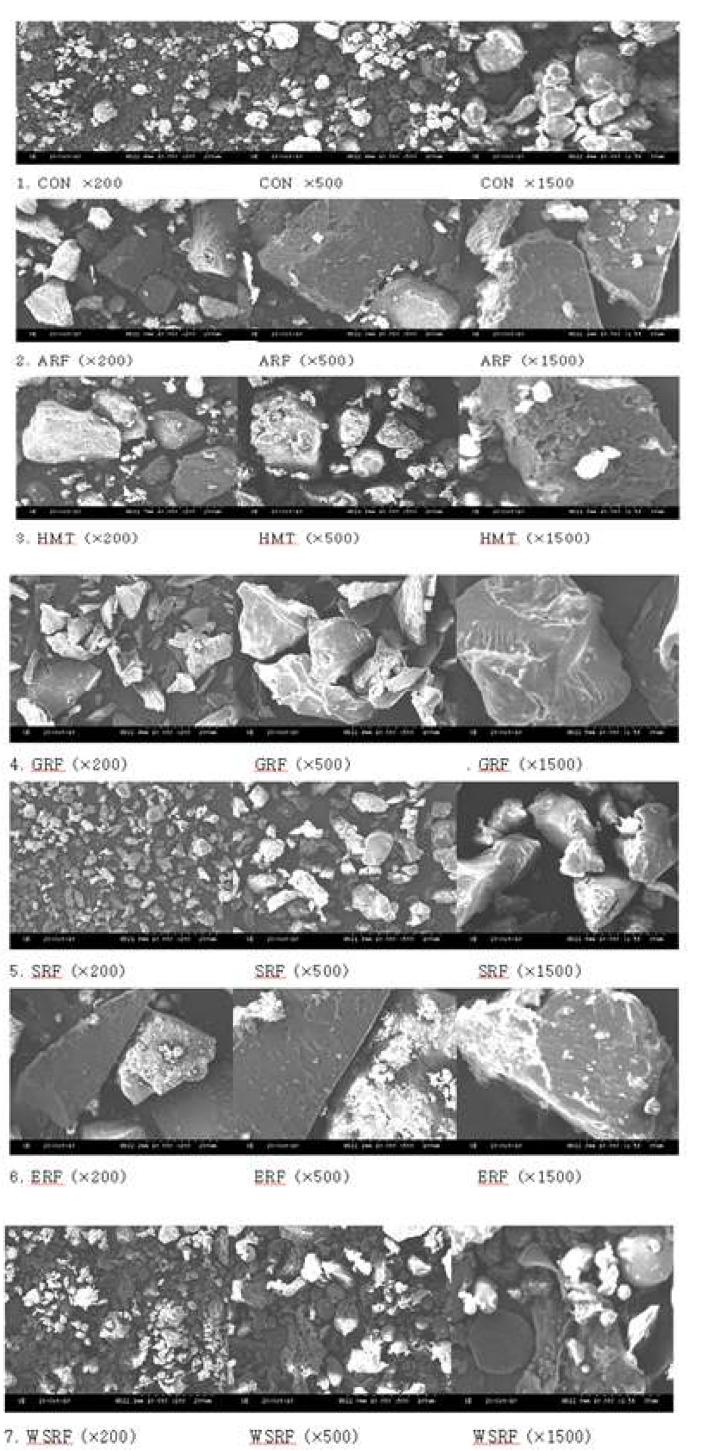 SEM of pretreated rice flour