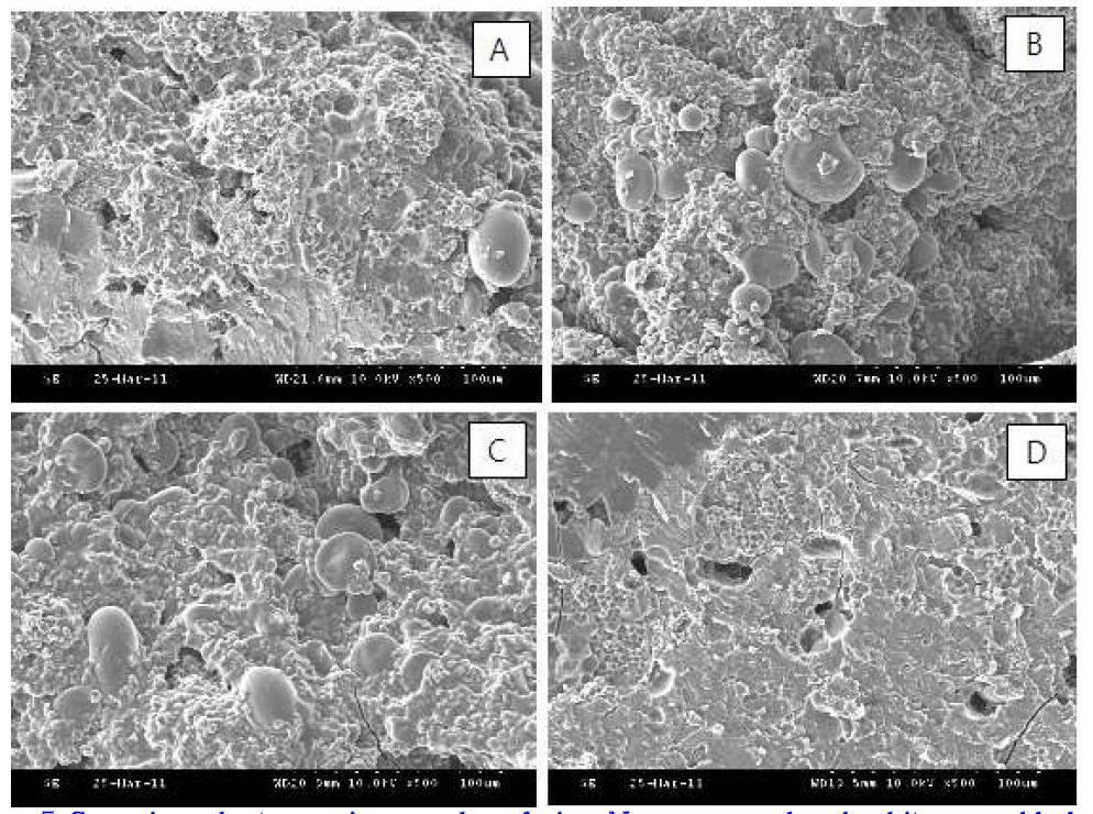 Scanning electron micrographs of rice Naengmyon dough chitosan added