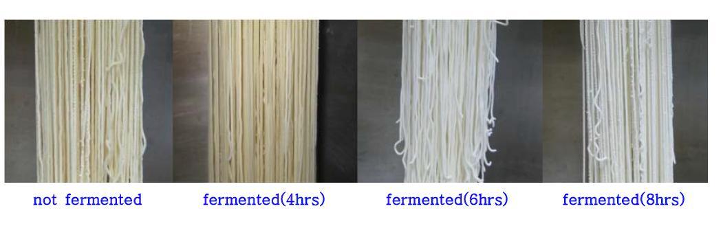 External characteristics of rice Naengmyon strand extruded from fermented dough