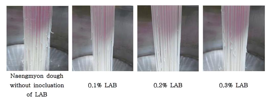 Photograph of alkali/lactic acid fermented rice naengmyon according to addition amount of LAB