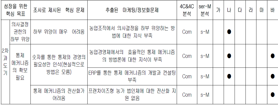 2차 과도기단계에서의 마케팅/정보화 문제 유형 분석