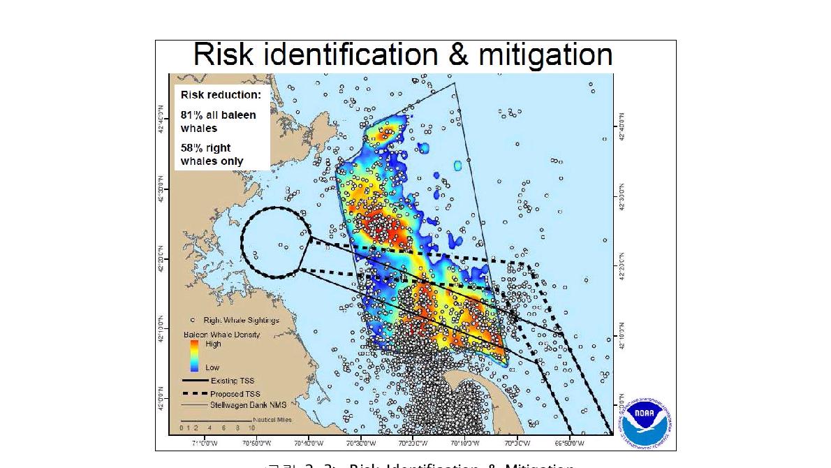 Risk Identification & Mitigation