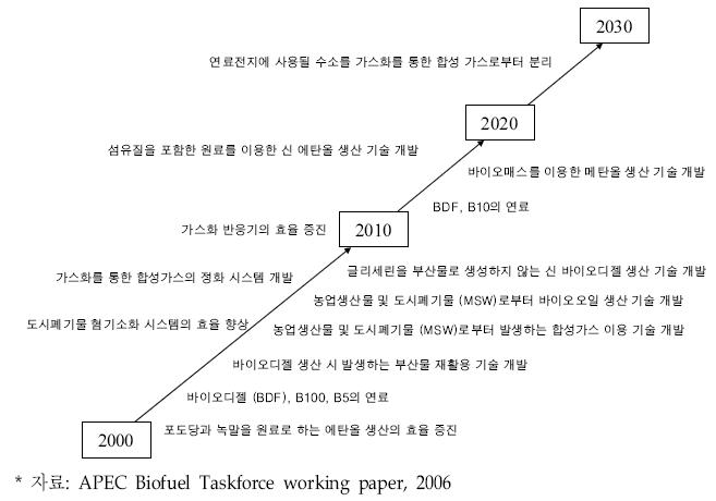 2030년까지의 바이오에너지 기술개발 로드맵(APEC).