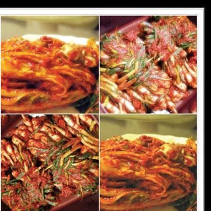 Sampling for metagenomic analysis of lactic acid bacteria originated in Kimchi.