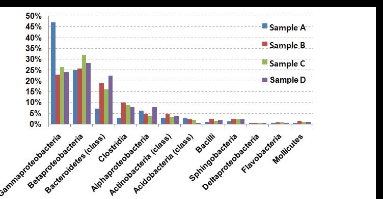Profile of major bacterial groups(class) determined by GS-FLX analysis inthe porcine feces.