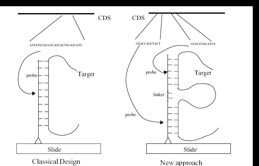 Scheme of the new design of oligonucleotide for microarray compared to classical design.