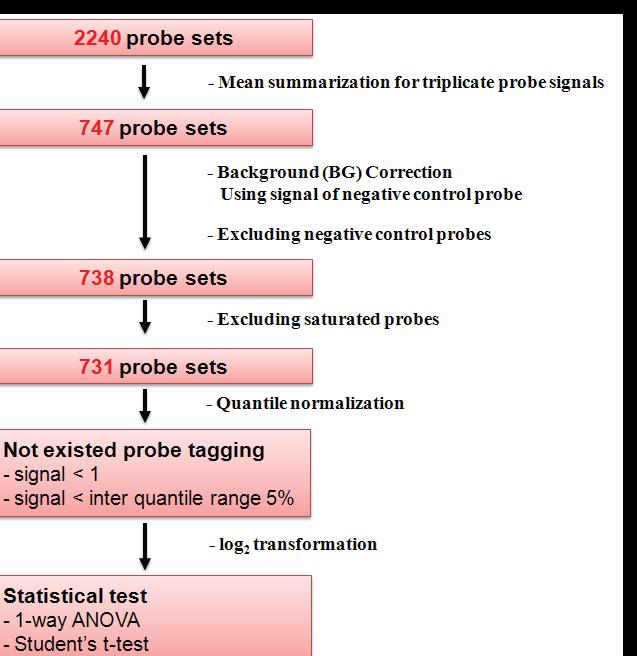 Scheme of microarray data analysis.