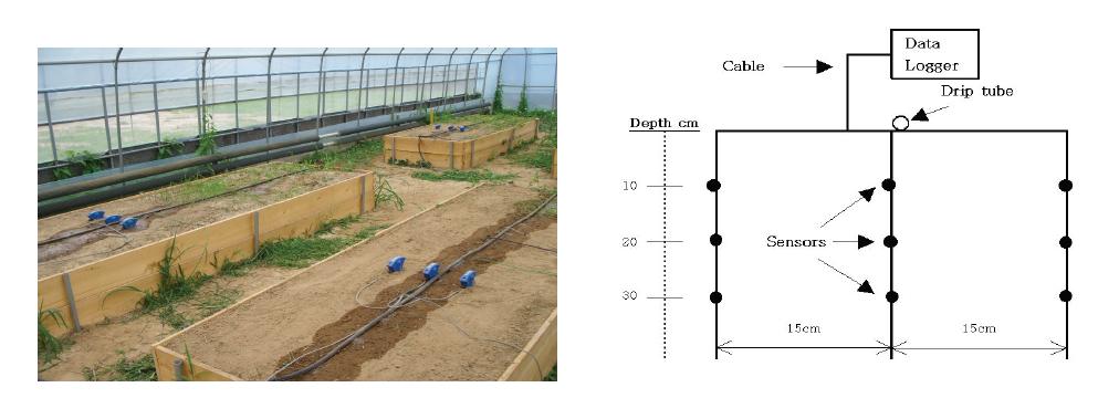 Photos of soil moisture and potential sensors and irrigation tubes (left) and schematic of the location of soil moisture sensors and universal data logger used in the study(right).