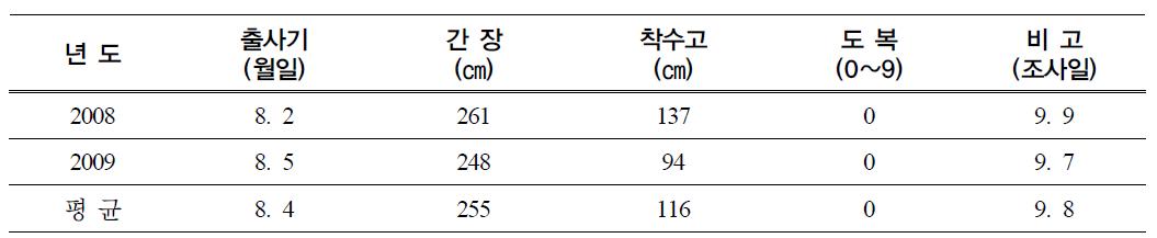 논에서 청보리 뒷그루 재배시 청예옥수수 생육상황