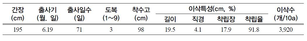 논 재배 풋옥수수 생육 및 수량