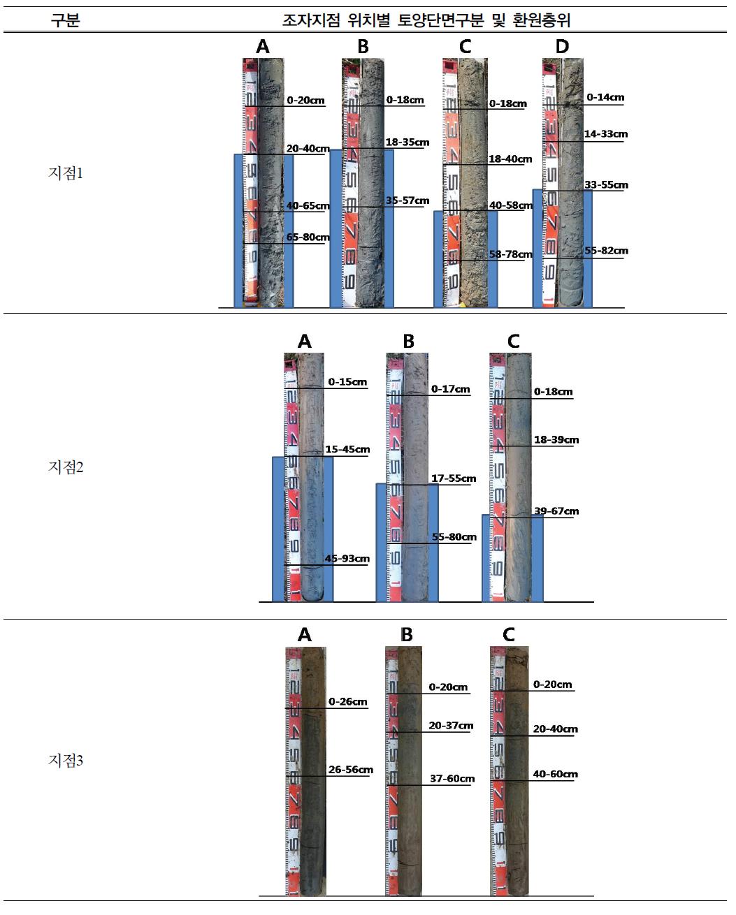 조자지점 위치별 토양단면구분 및 환원층위