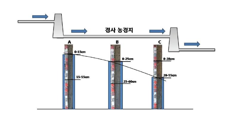 곡간지논 위치별 환원층의 깊이 변화.