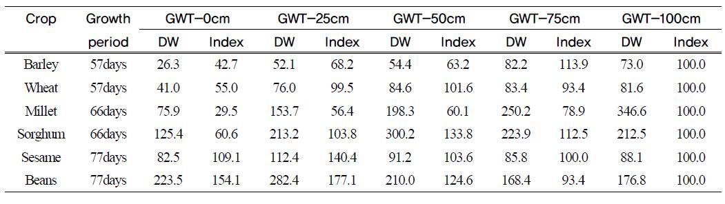 Total dry matter of crops affected by different ground water table