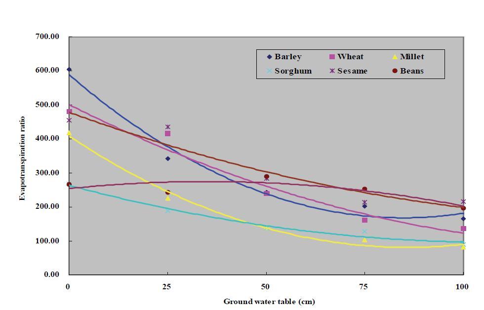 Relationship between ground water tables and evapotranspiration ratio of crop