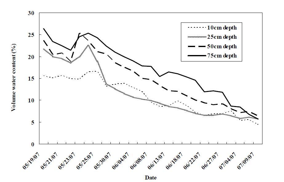 Daily change of volume water content at different soil depth of lysimeter grown with millet