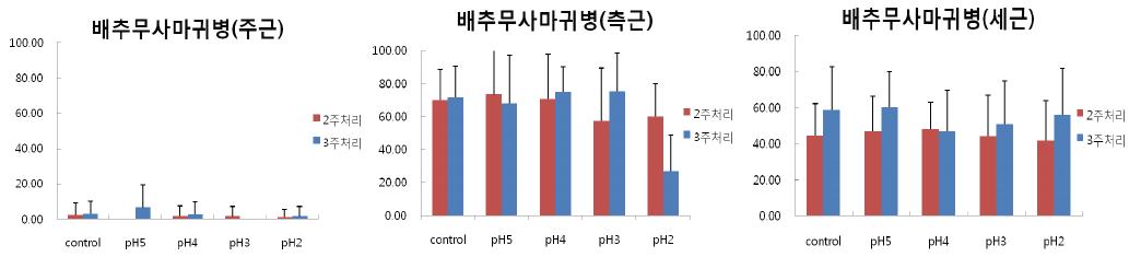 인공산성비 처리기간과 pH에 따른 배추 뿌리 별 무사마귀병 발생.