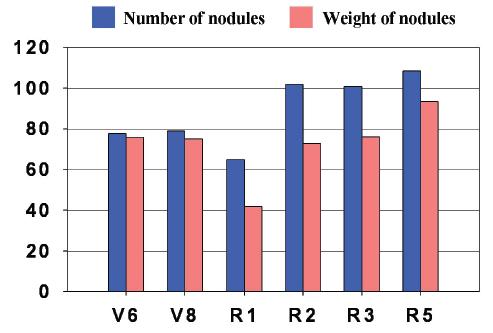 Number and fresh weight of root nodules as influenced by SAR.