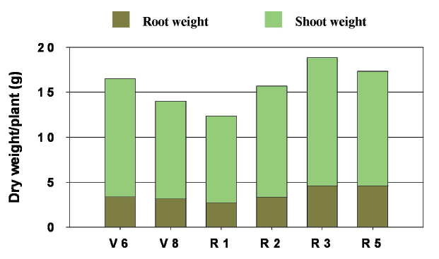 Dry weight of root and shoot as influenced by SAR.