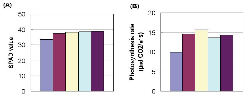 SPAD value (A) and photosynthesis rate (B) of radish as influenced by simulated acid rains at a range of pH values.