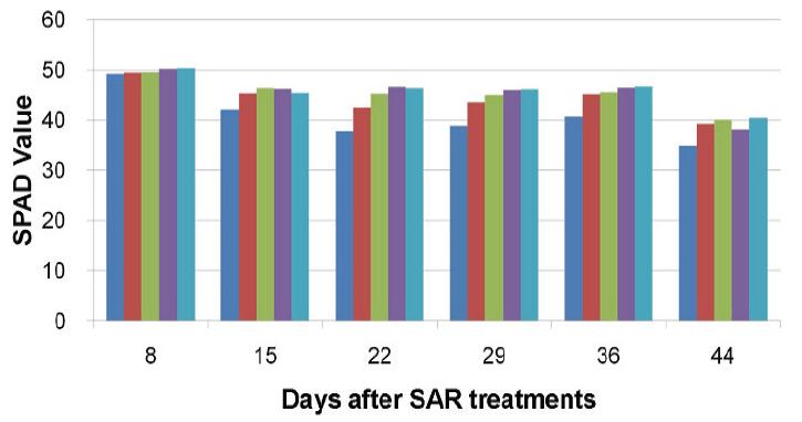 SPAD values of strawberry leaves as influenced by simulated acid rains at a range of pH values.