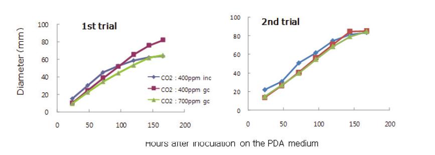 이산화탄소 처리에 따른 PDA 배지에서 역병균 균사 생장.