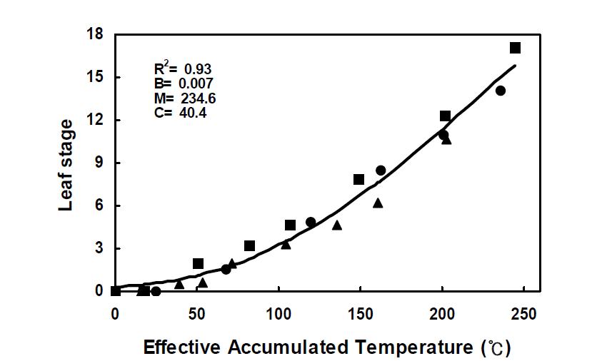 파종시기 조절에 의한 온도 상승 조건에서 유효적산온도에 따른 물피의 엽령 변화(▲: 5월 7일, ■: 5월 17일, ●: 5월 27일) 및 Logistic 모델에 의한 예측(▬).